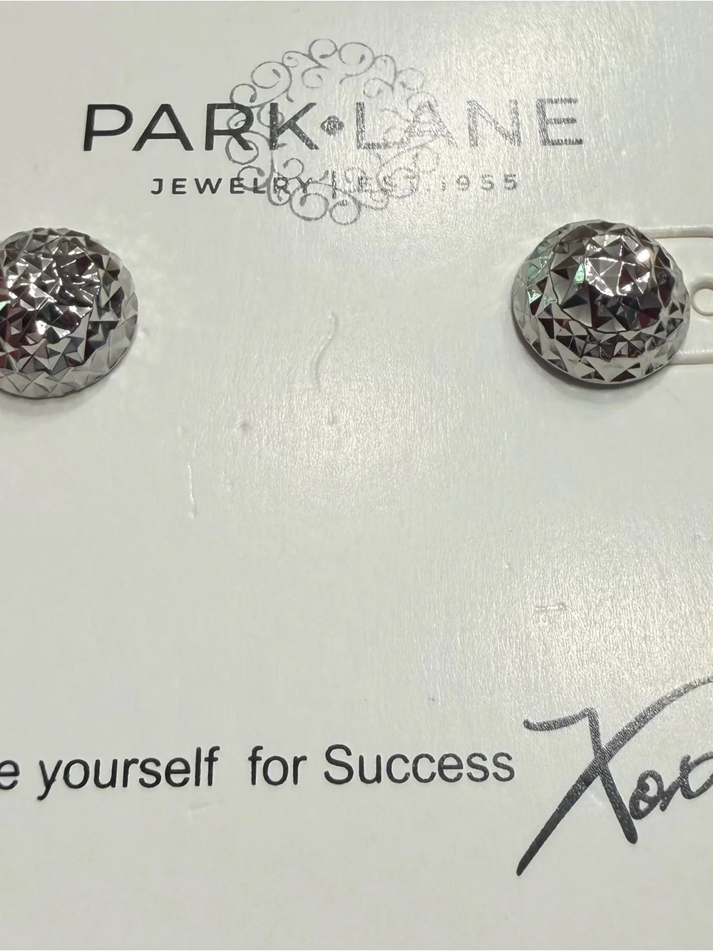 Park Lane Faceted Silver Dome Stud Earrings - Vixen Collection
